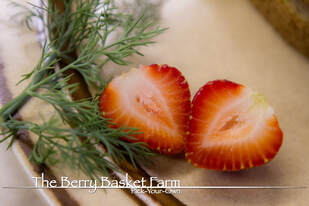 Strawberries on Plate